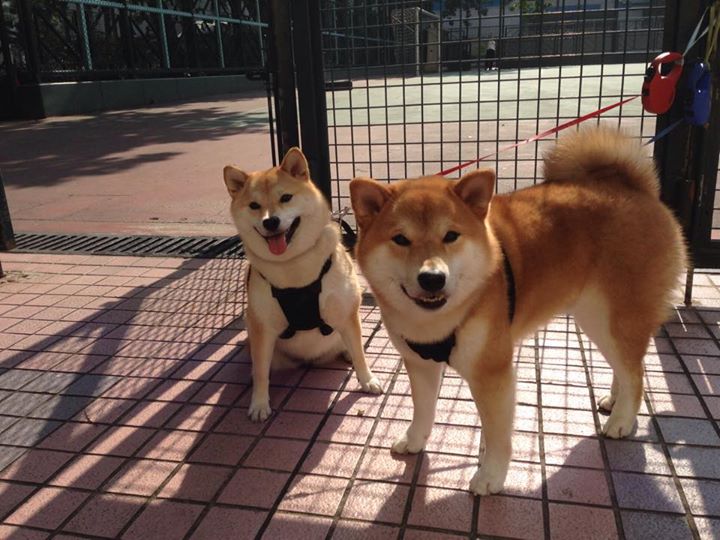 曼联新门将奥纳纳首秀送点仍零封对手,garner曼联