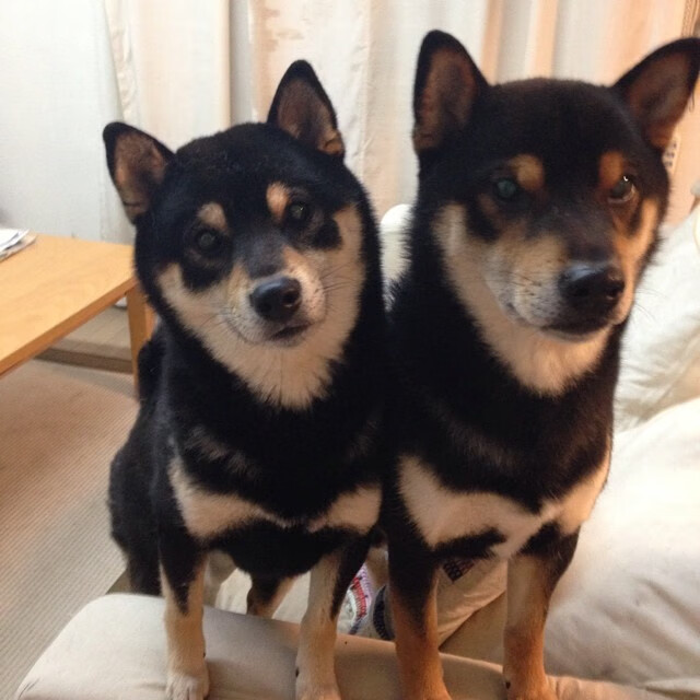 埃尔·哈努斯在巴黎奥运会男足比赛中表现出色