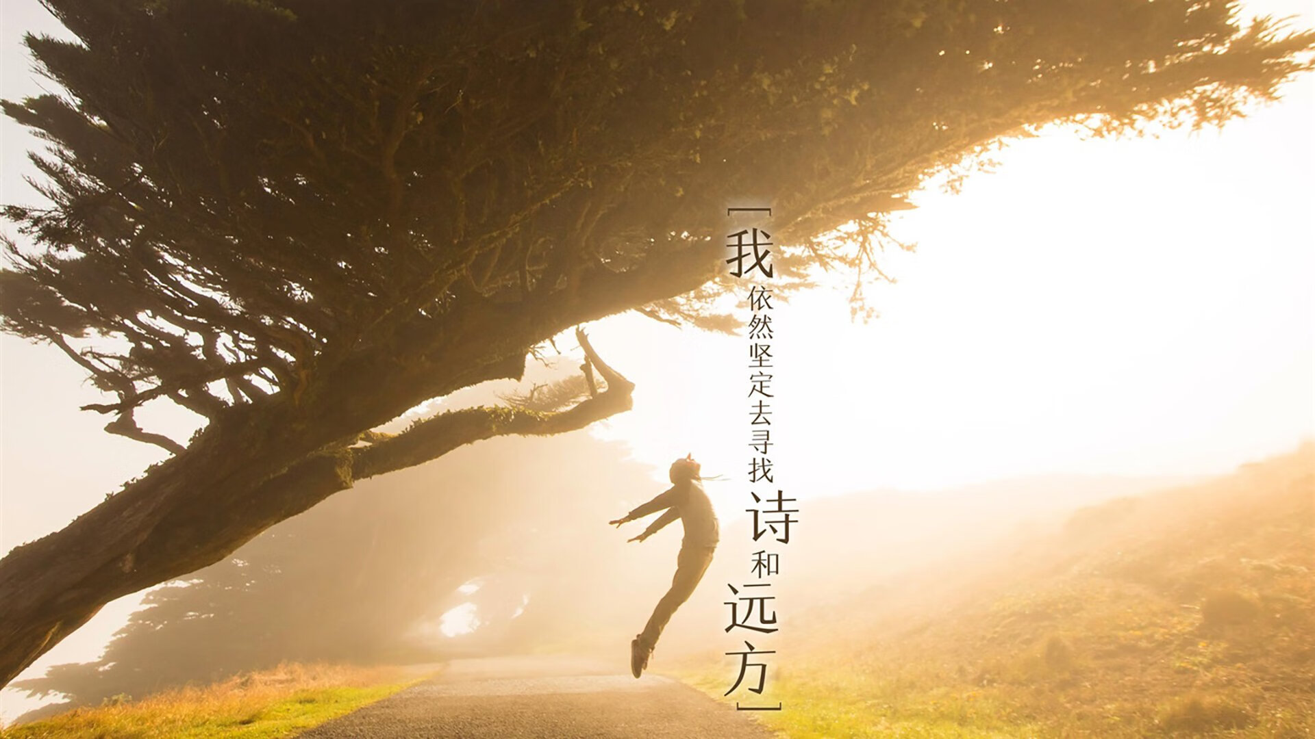 NBA联盟球员社会责任活动对品牌形象的影响,nba球员社会地位