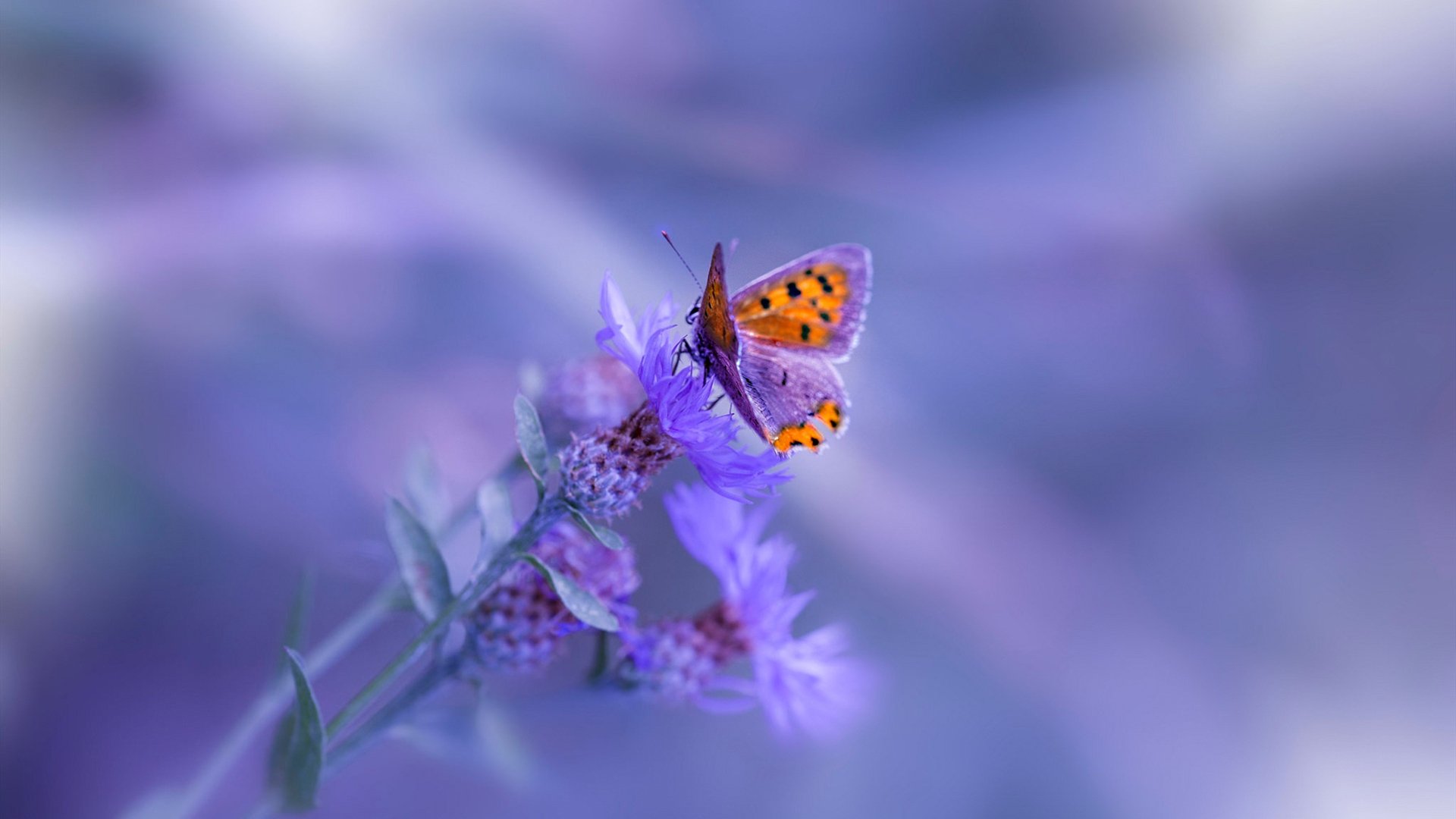 体育产业技术创新成果,体育产业创新创业的内容及基本流程有哪些