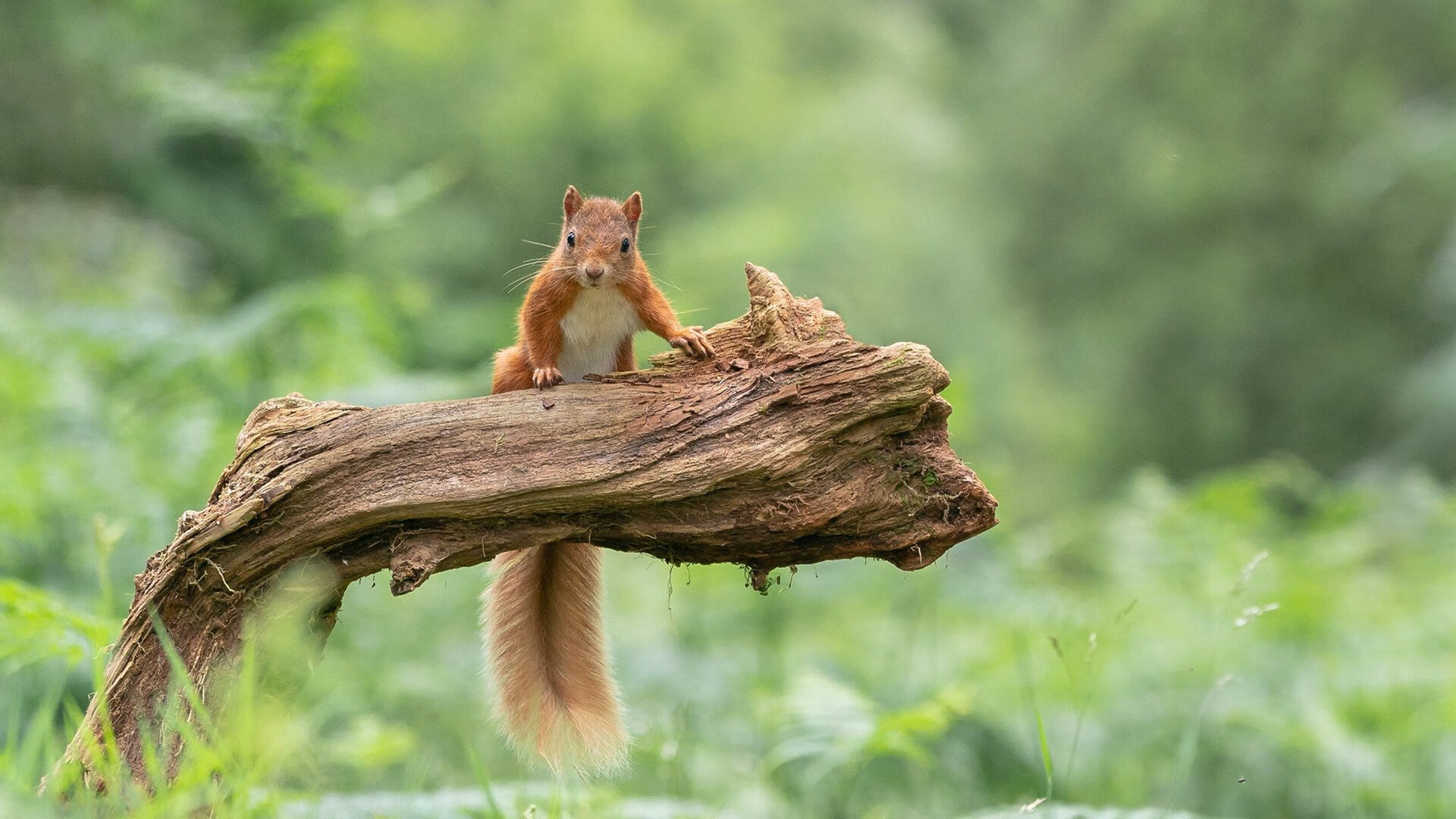 赛季回顾:最具收藏价值的比赛瞬间,赛季宝藏