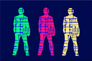 爱游戏综合娱乐-高校体育专业人才培养质量保障体系，体育人才培养方案心得体会