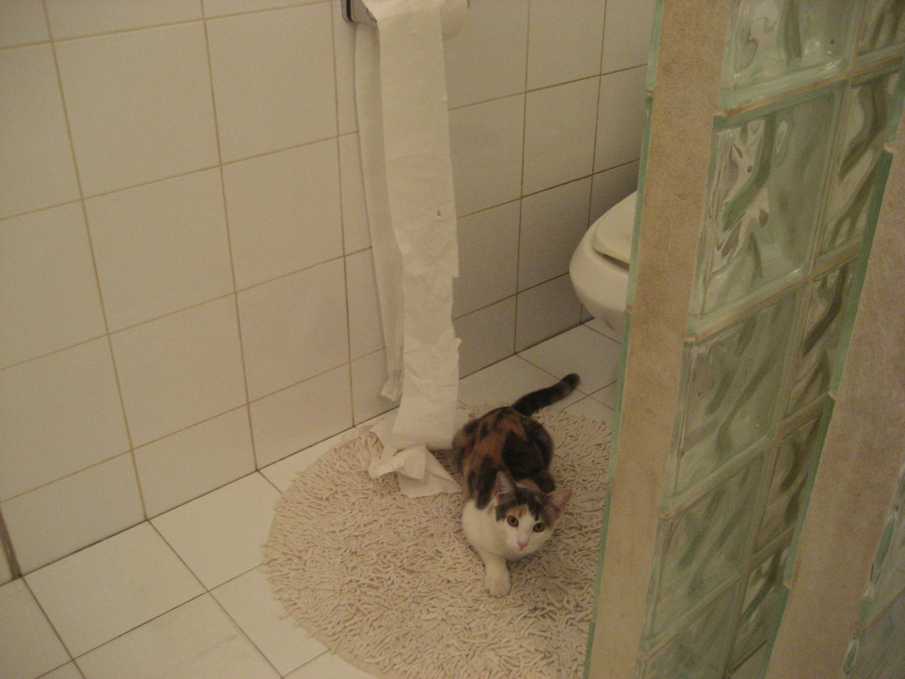 五大联赛经典对决为何总能制造奇迹,五大联赛都夺冠的球员