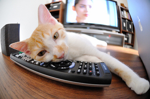 锋线射门选择是否正在逐步趋向远射倾向,什么叫锋线球员