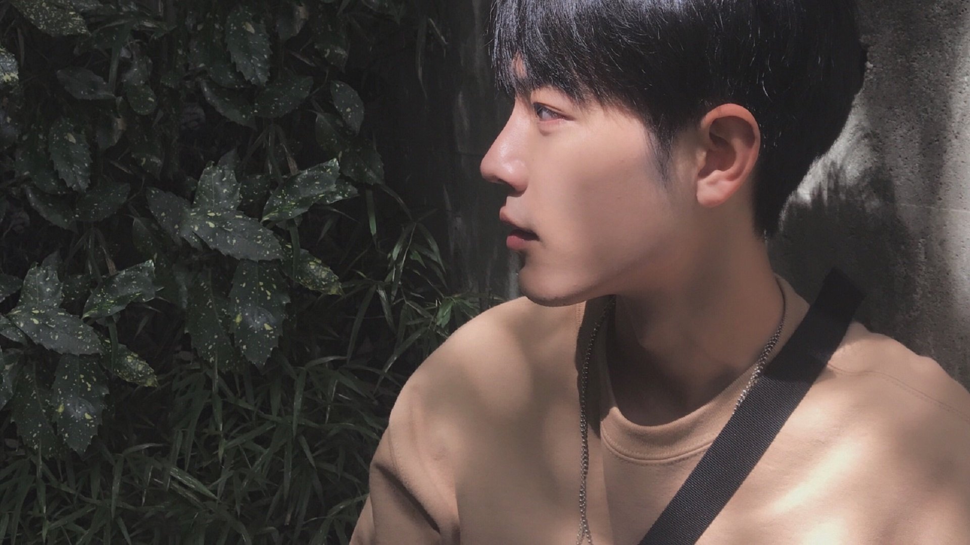 爱游戏娱乐-美洲杯激情飙升：明星点燃全场！，美洲杯精彩集锦