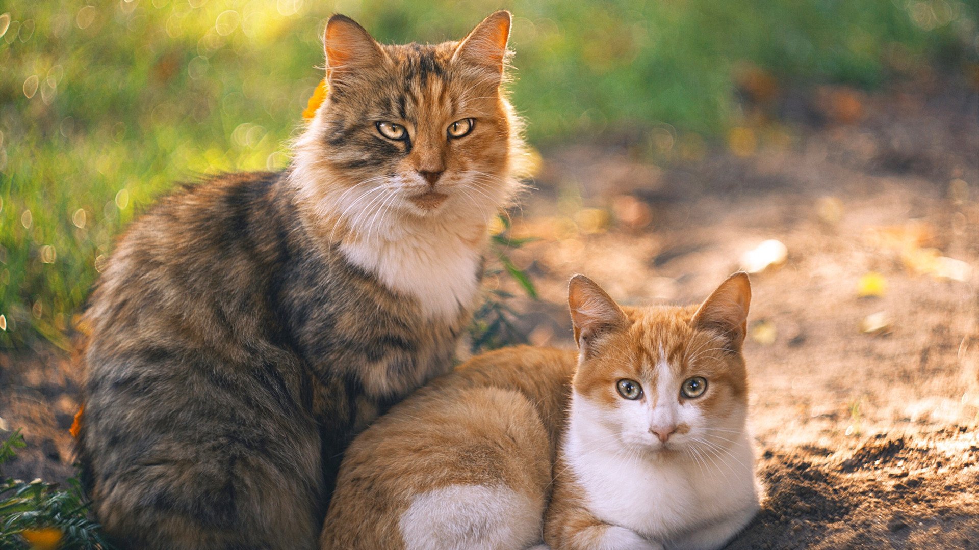 西甲激情四溢:奋勇突击,精彩不断!,西甲经典比赛